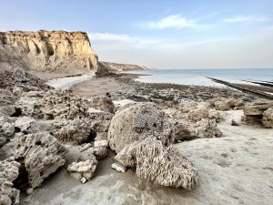 آبسنگ های مرجانی در ساحل خلیج فارس