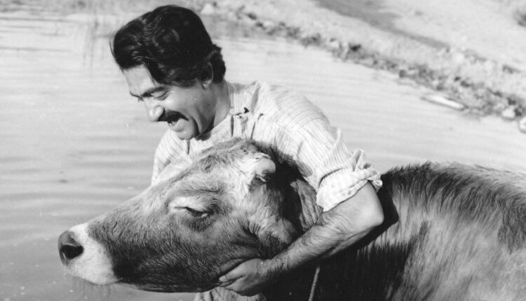 ادبیات ضد شکار