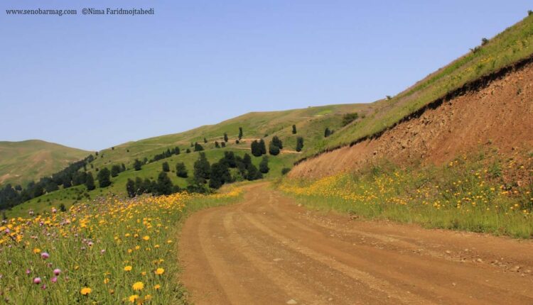 دامنه‌های رشته کوه البرز