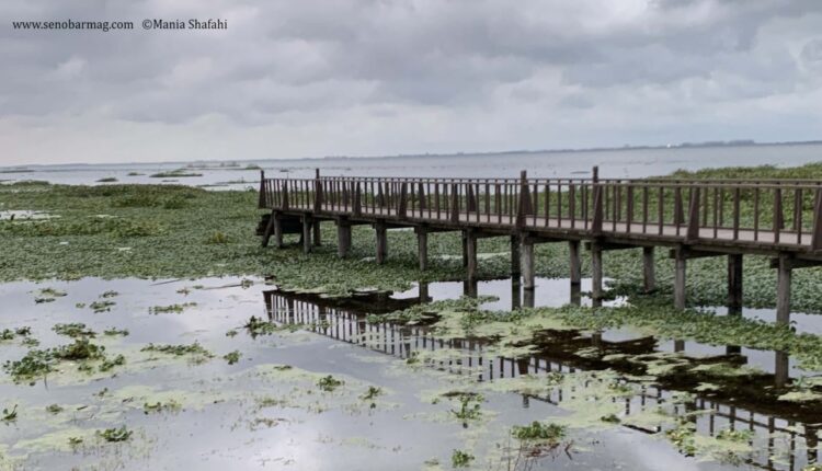 روز جهانی تالابها