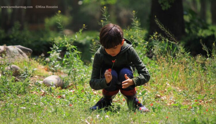 انقراض دوران کودکی