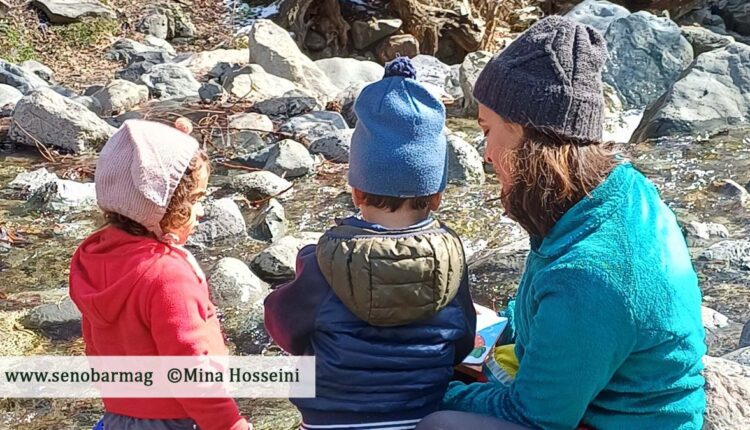 در جامعۀ مدرن امروز، زنان نقش مادری را یک شغل در نظر می‌گیرند (درواقع، با توجه به پیچیدگی جامعۀ مدرن، نقش مادری یک کار تمام‌وقت است زیرا موجود انسان طفولیت بسیار طولانی دارد) و به همین دلیل این نقش با نقش‌های دیگر آن‌ها در تقابل قرار می‌گیرد.