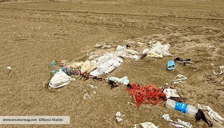 شعار روز محیط‌زیست سال 2025: مقابله با آلودگی پلاستیک