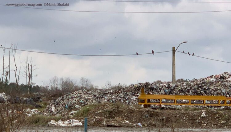 زباله و تالاب