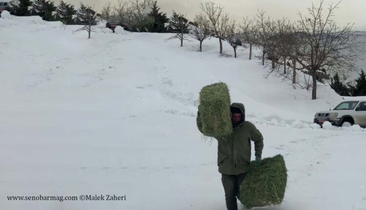 سولاستالژیا در محیط‌بان‌ها