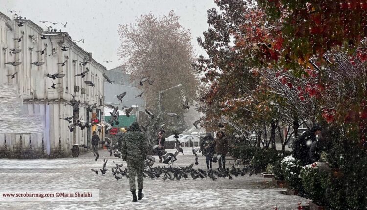 به مناسبت روز جهانی بدون خودرو