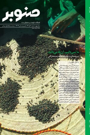 نسخه الکترونیکی شماره سی‌ام و سی و یکم