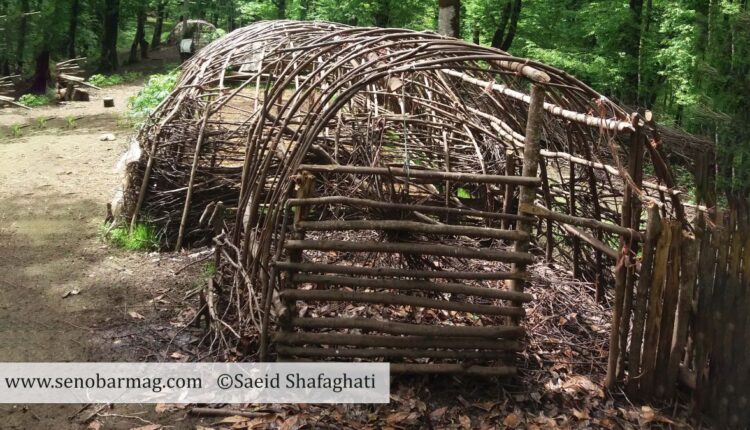 دانش بومی عشایر تالش