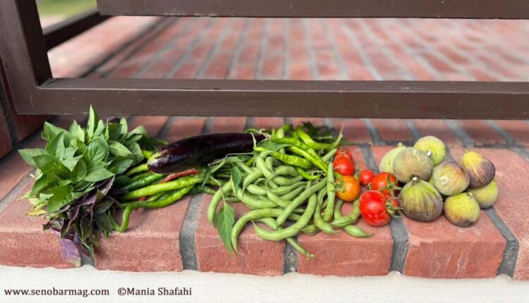 راهکار اکولوژیکی امنیت غذایی