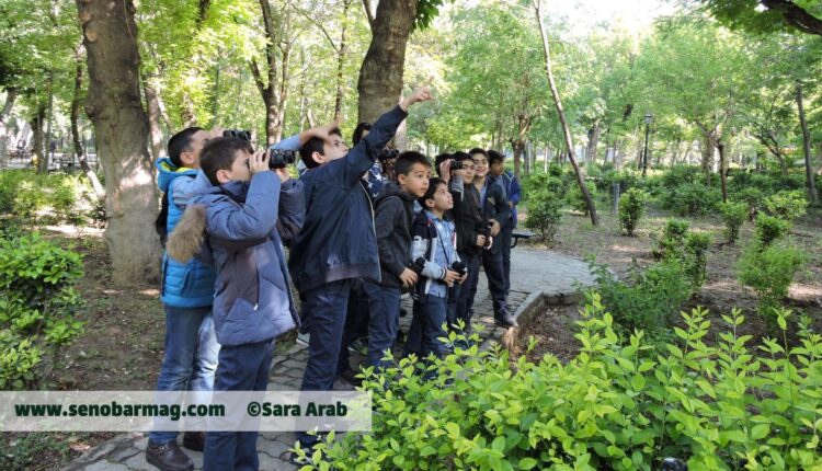 به مناسبت روز جهانی پرندگان مهاجر 2026